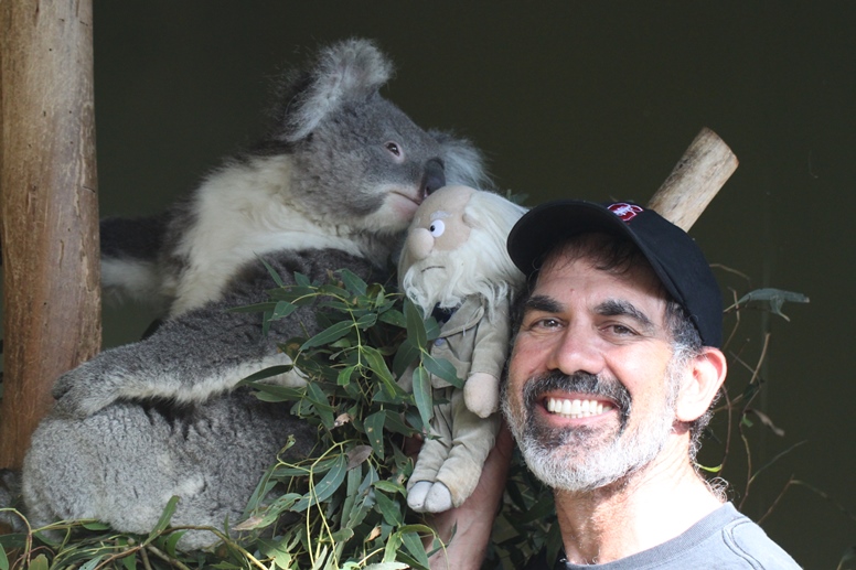 koala darwin bob